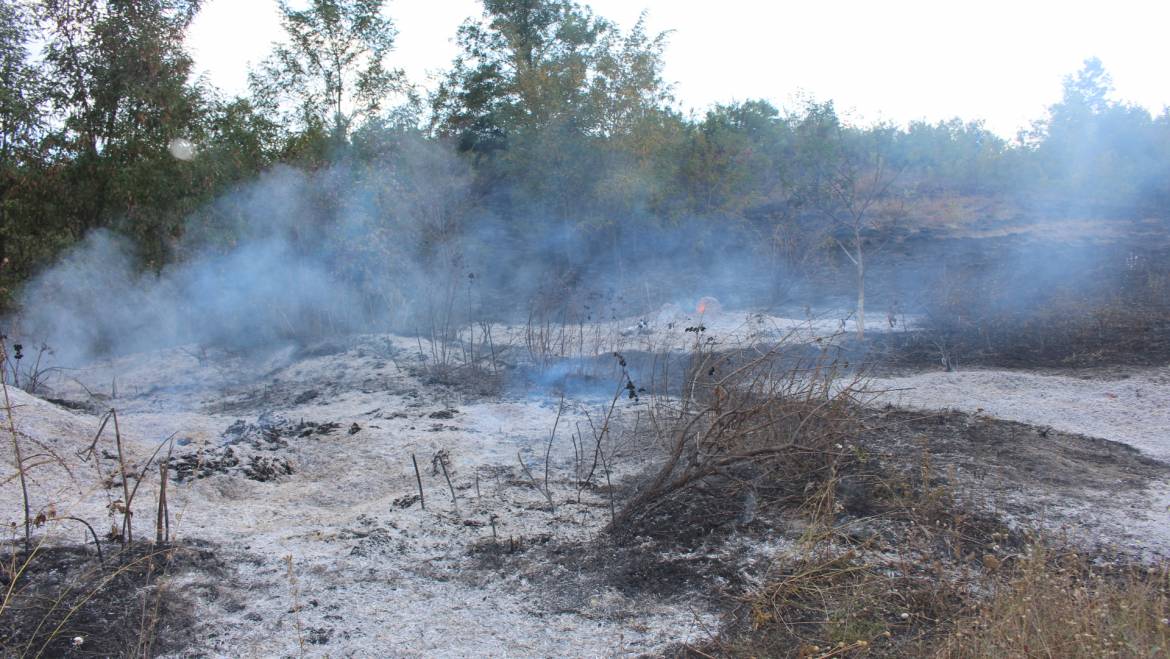 Incendiu major în satul Costești