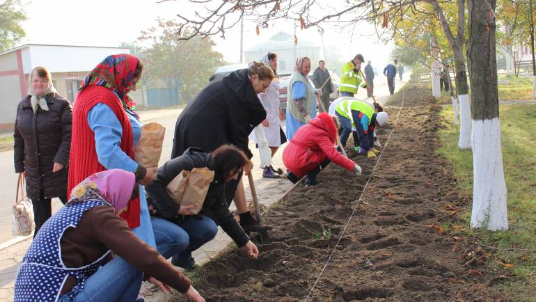 Plantări în masă în cadrul proiectului ”Cetățenii participă-Comunitatea Prosperă”