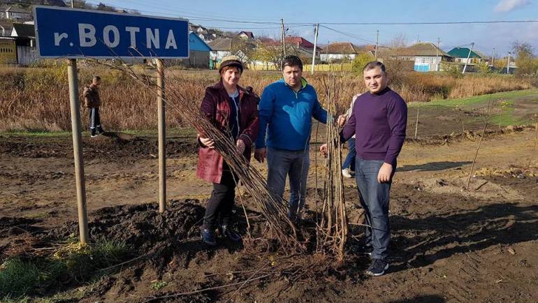 600 de copaci plantați pe malul rîului Botna din satul Costești