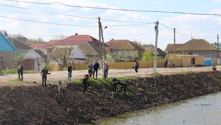 Înverzim parcurile din satul Costești