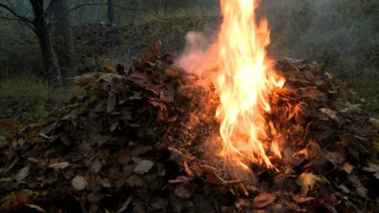 Dispoziție privind interzicerea arderii resturilor vegetale