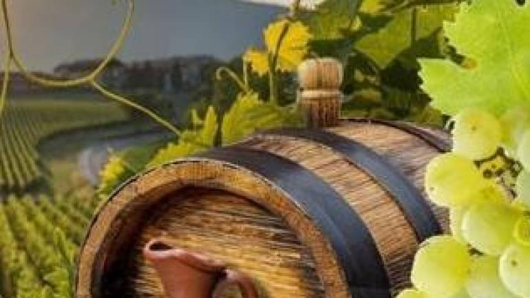 Concurs pentru cel mai bun vin de casă ”Polobocul de aur 2021”